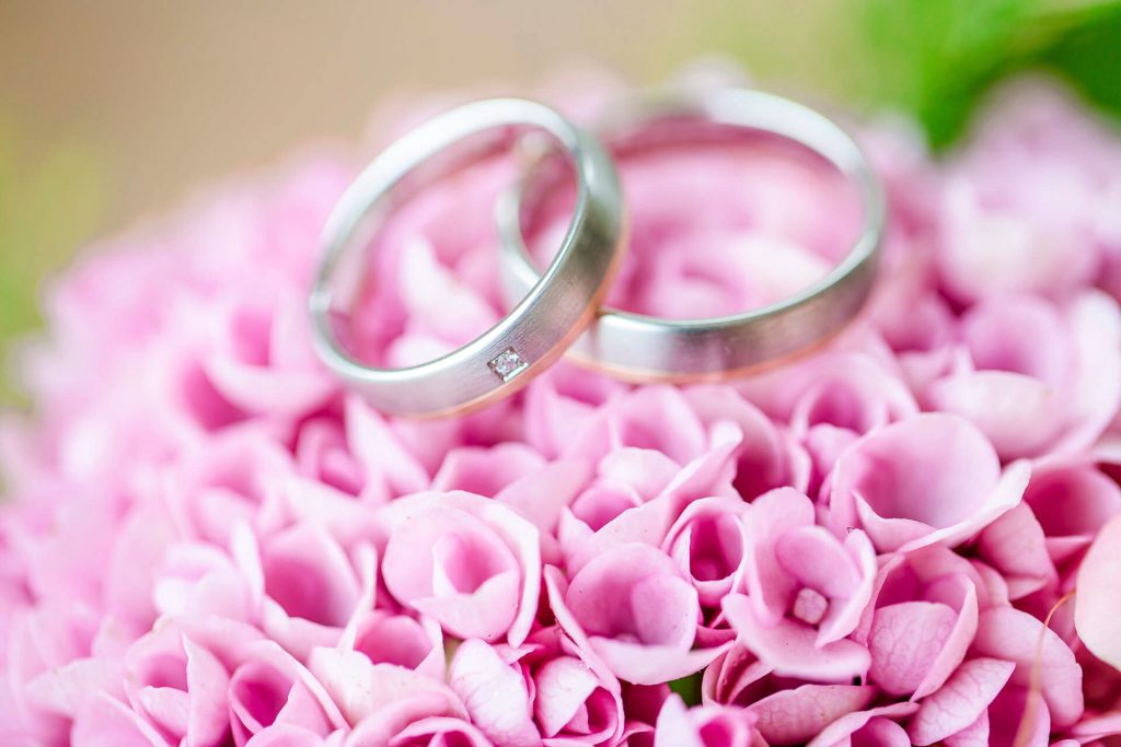 Zwei Eheringe liegen auf rosa Blüten.